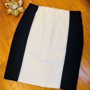 Elegant Black and White Skirt